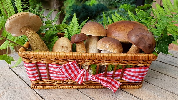 3 powody dla których warto jeść grzyby